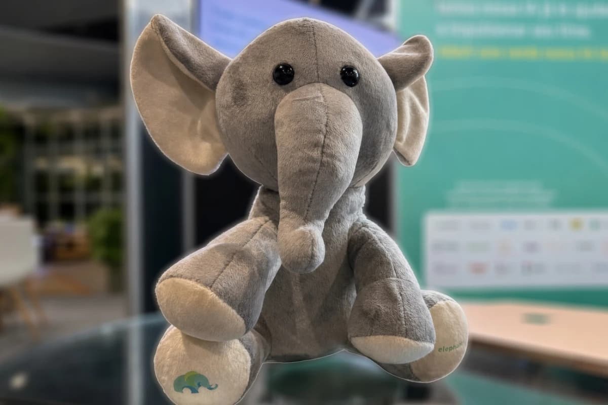 Elefante de pelúcia do sorteio